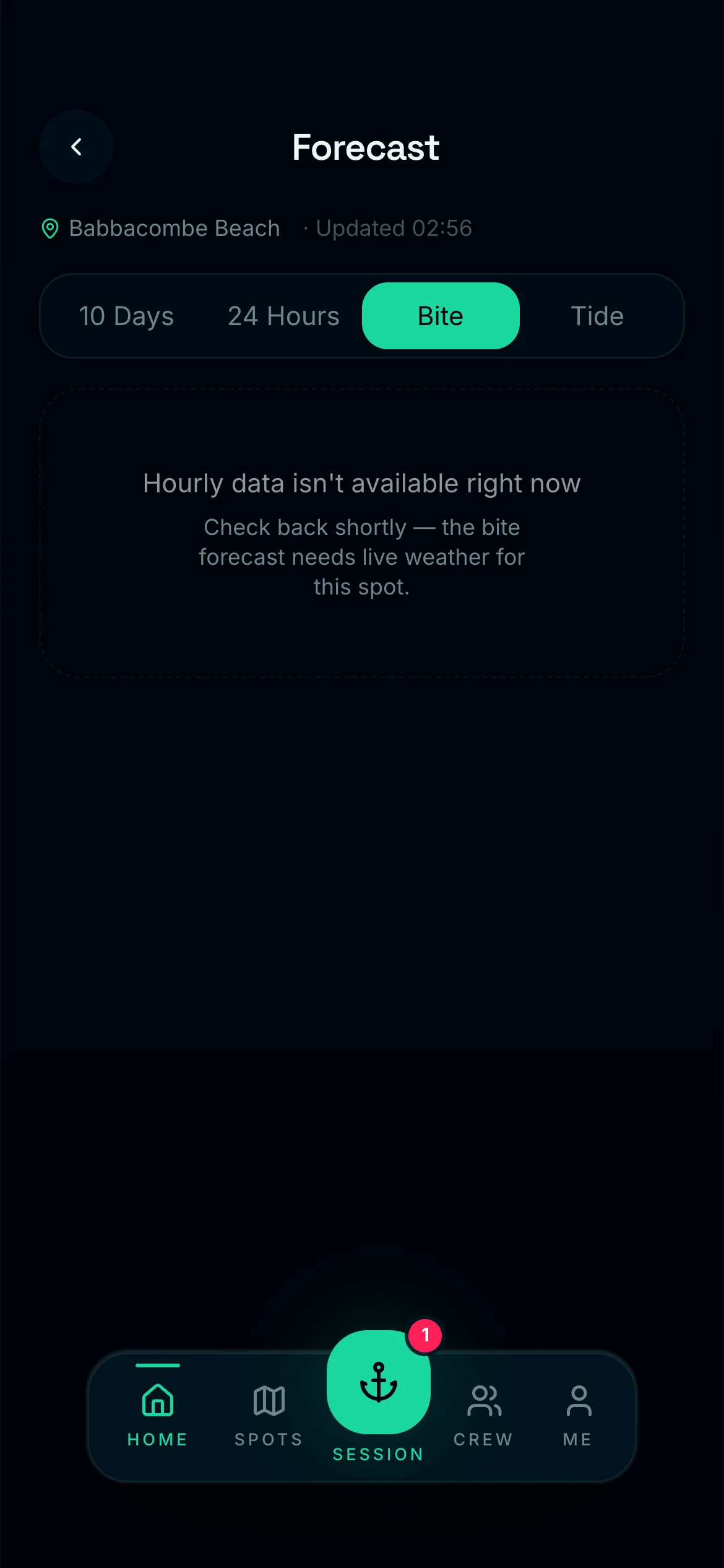 CAST bite forecast for the next 24 hours