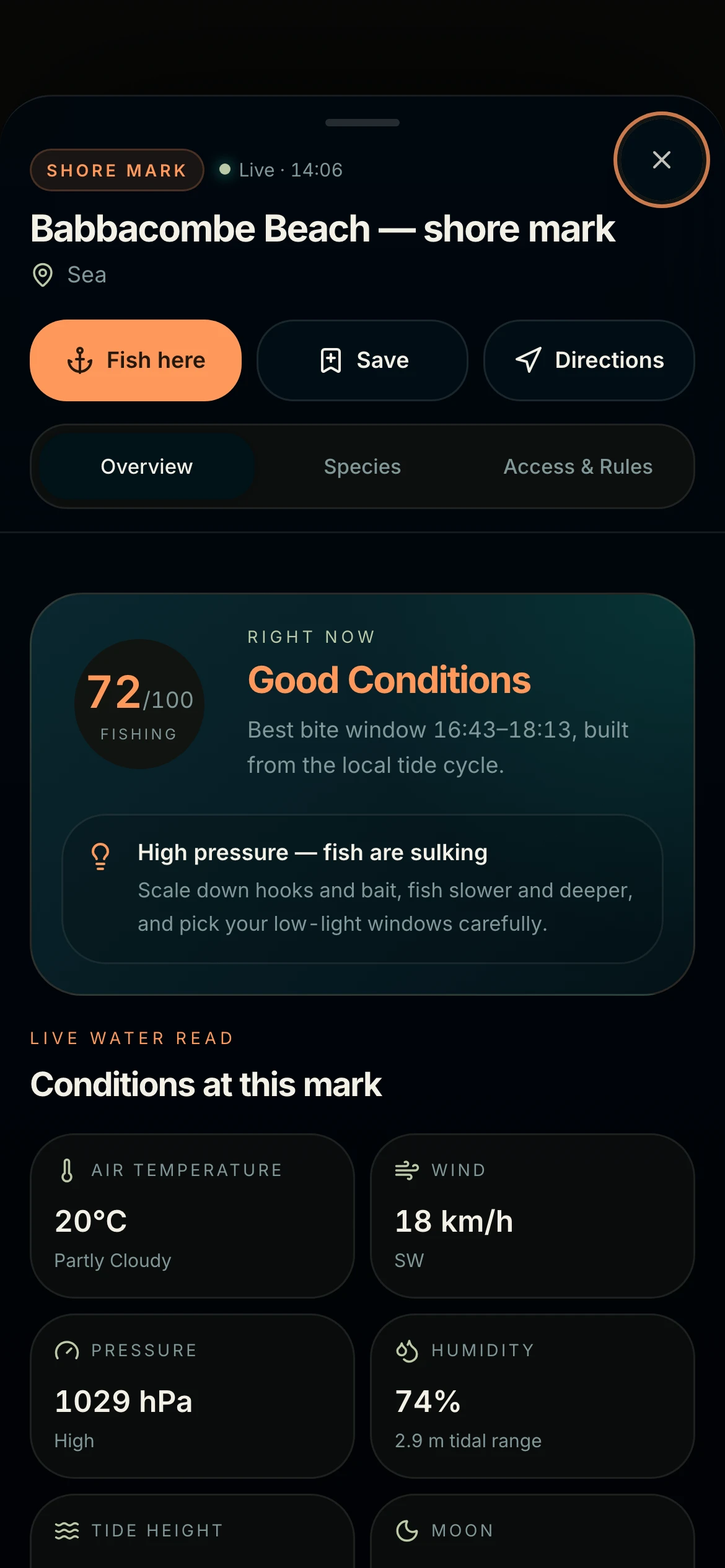 CAST mark detail — live score, conditions and every species that swims at an unnamed rock mark