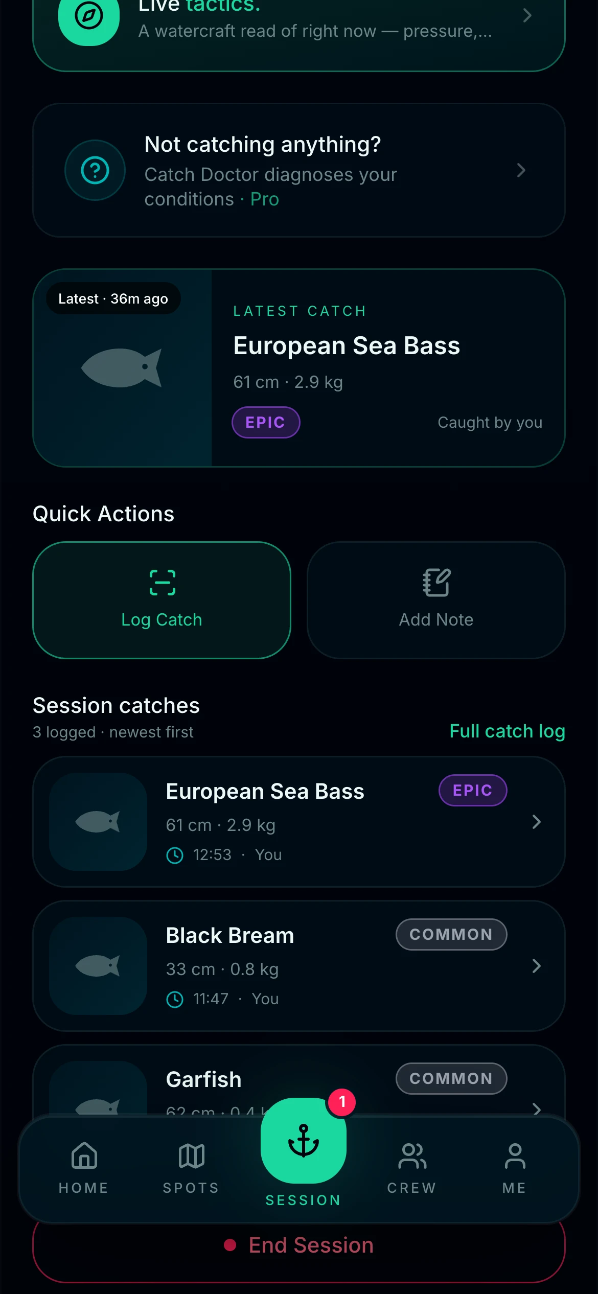 CAST live session catch display and quick actions