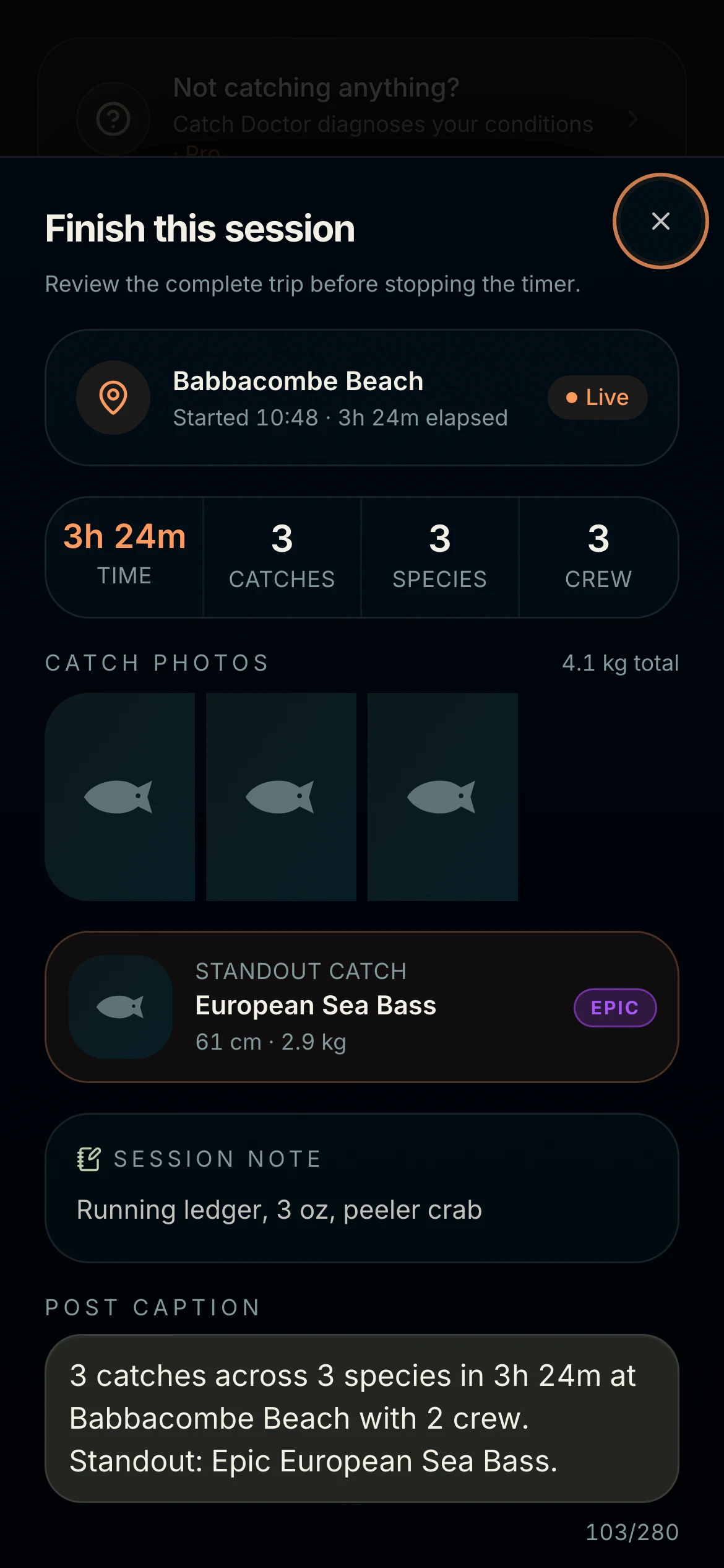 CAST session finish review with catches and posting controls