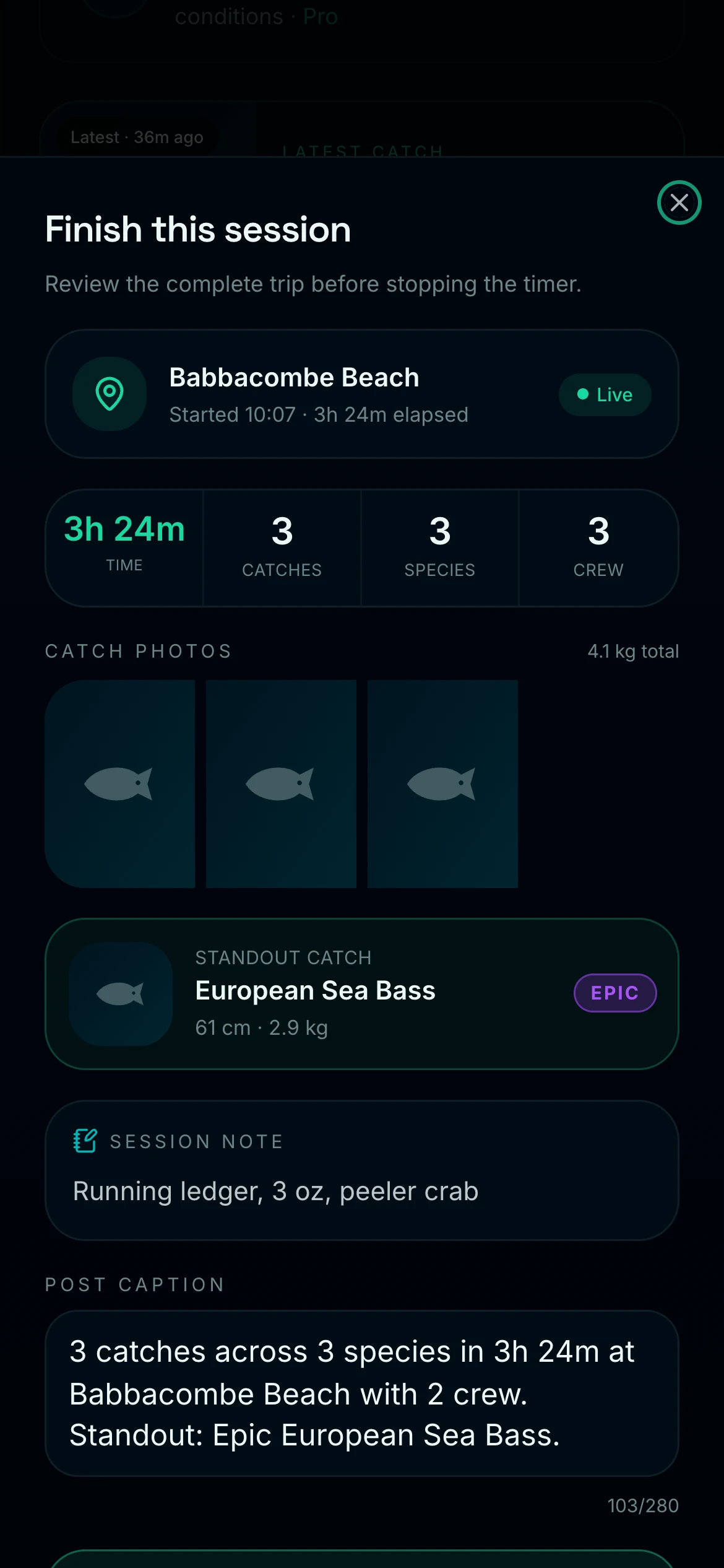 CAST session finish review with catches and posting controls