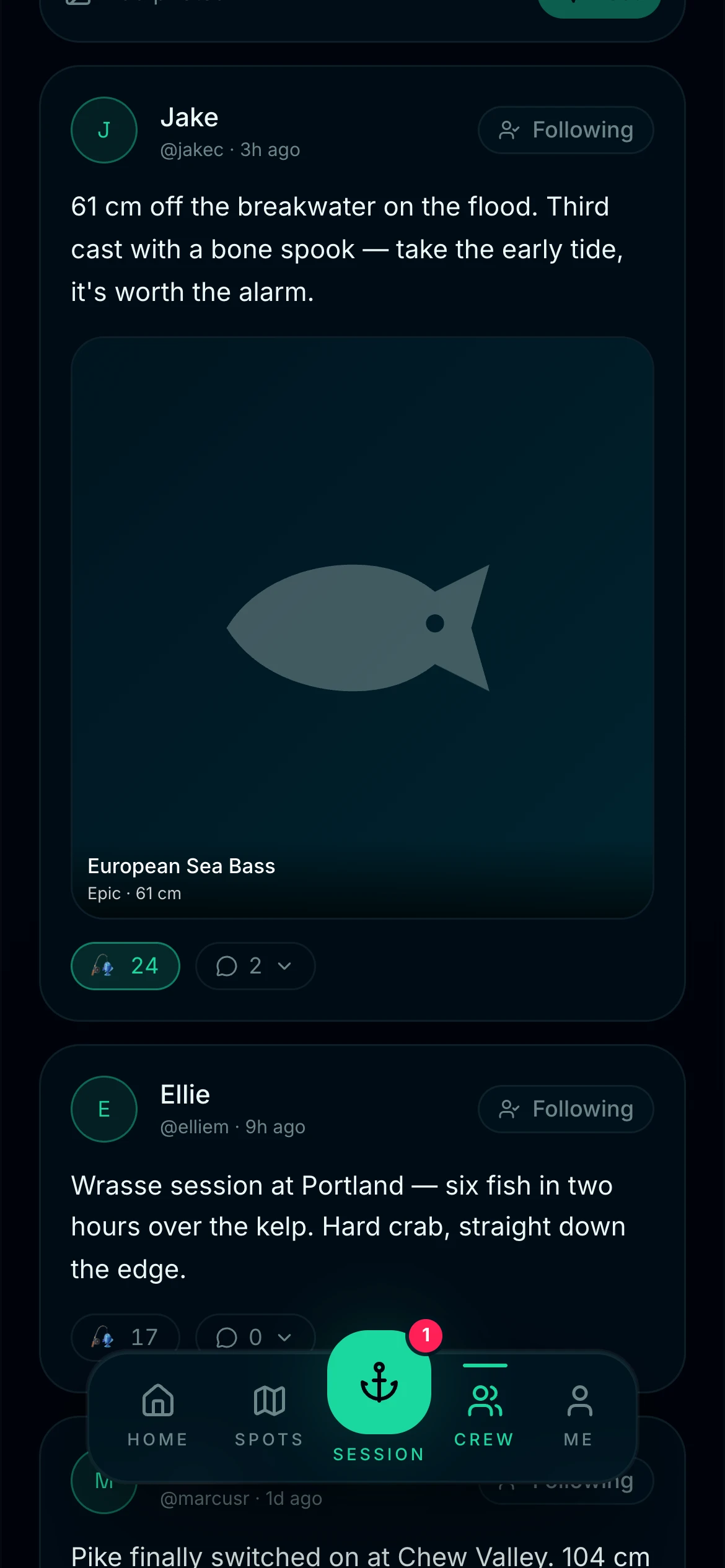 CAST community feed